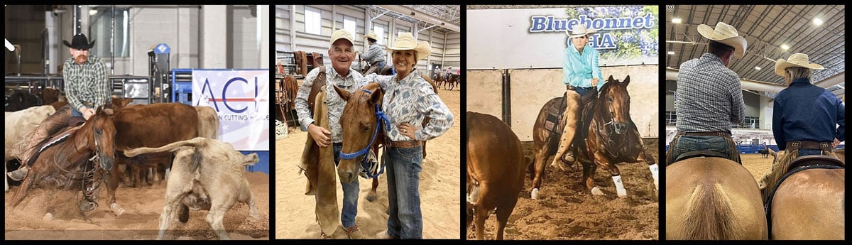 Acha American Cutting Horse Association