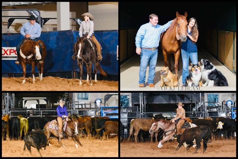 Acha American Cutting Horse Association